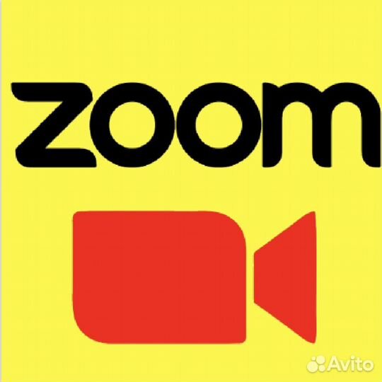 Zoom one PRO 12 месяцев