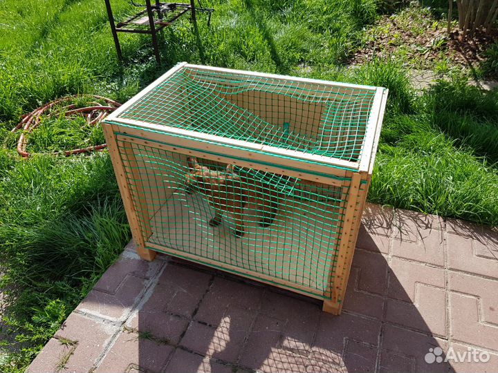 Вольер для котят-щенков, кошек, небольших собак