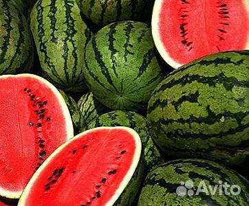 Семена арбуза сушеный холодок большой пакет