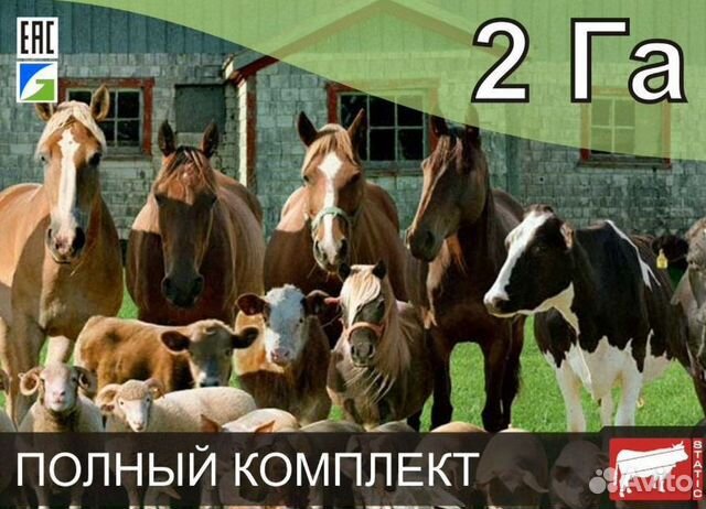 Электропастух для крс