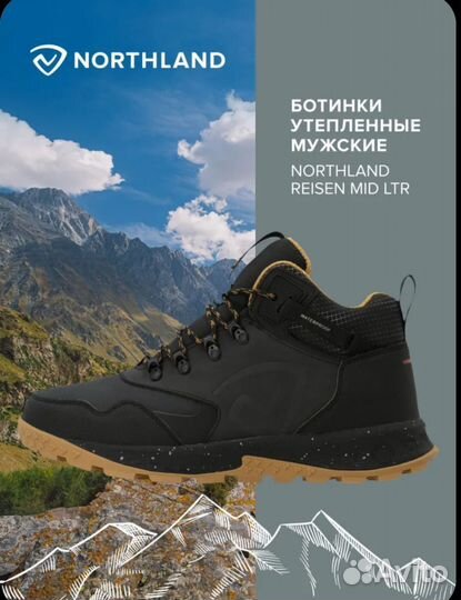 Кроссовки мужские Northland