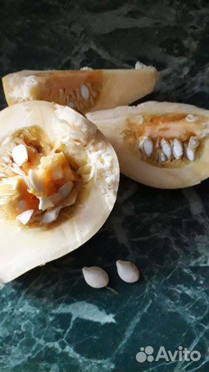 Семена декоративной груши лианы