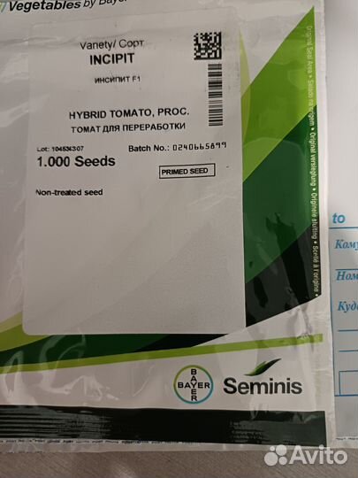 Семена томата для консервации инсипит голланлия