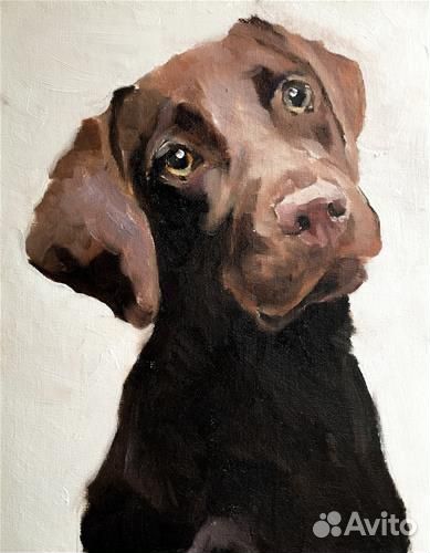 Портрет питомца на заказ