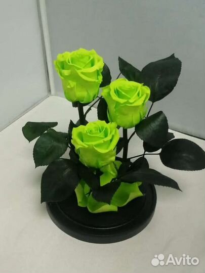 Роза в колбе оптом и в розницу