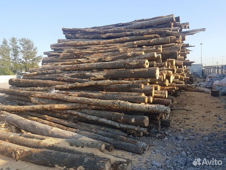 Дрова с доставкой укладкой от 3м3
