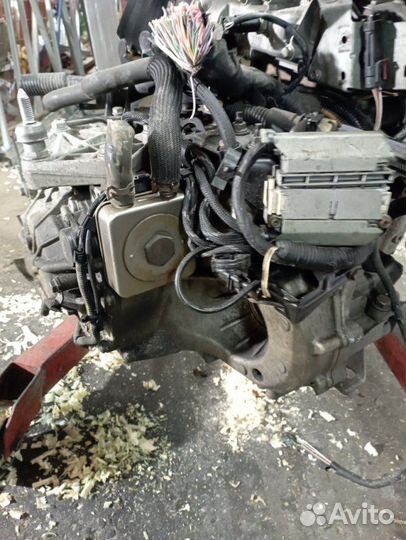 АКПП Renault Kangoo K4M 2007