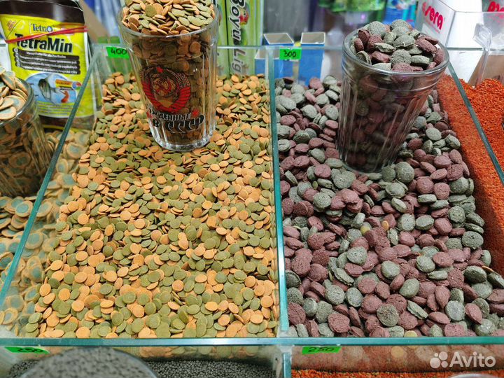 Корм для рыб