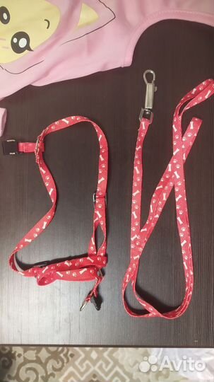 Ошейник для кошек