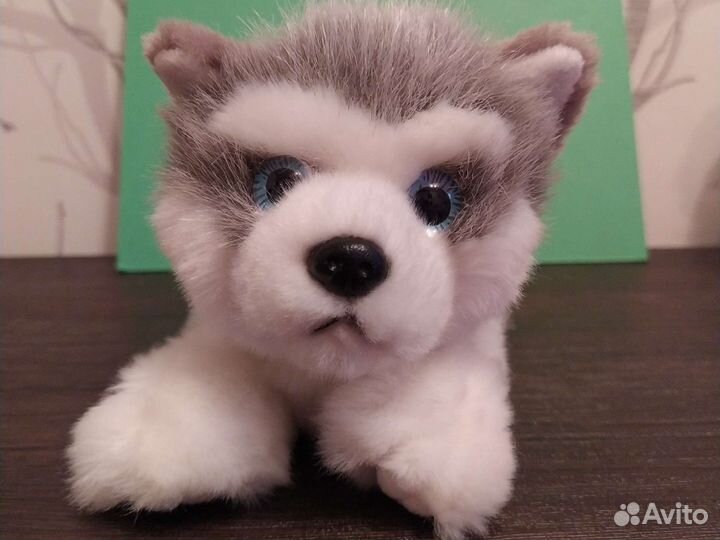 Мягкая игрушка щенок хаски собачка собака волк