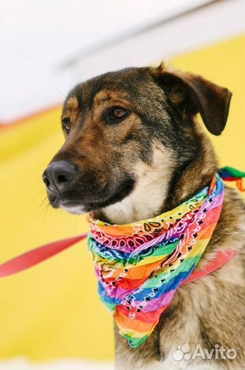 Юный Люк ждет свою семью