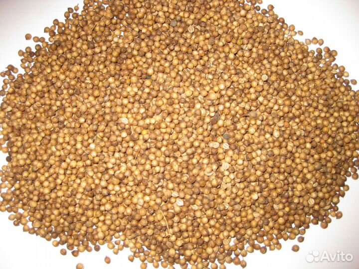 Специи+ еда для проращ, хорош. качест. от 1 кг