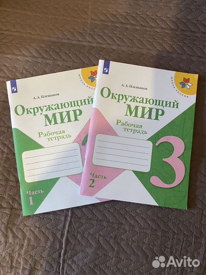 Рабочая тетрадь по окружающему миру 3 класс