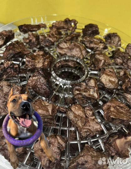 Лакомства для собак