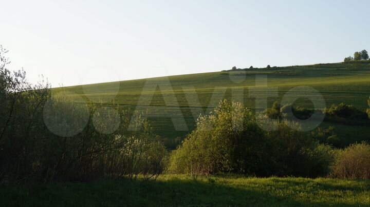 Участок 49,5 га (СНТ, ДНП)