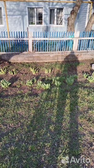 Труба асбестоцементная 300