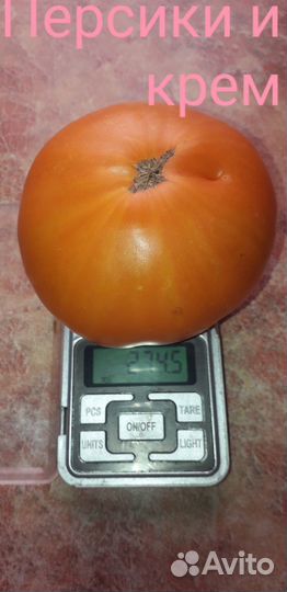 Семена помидор