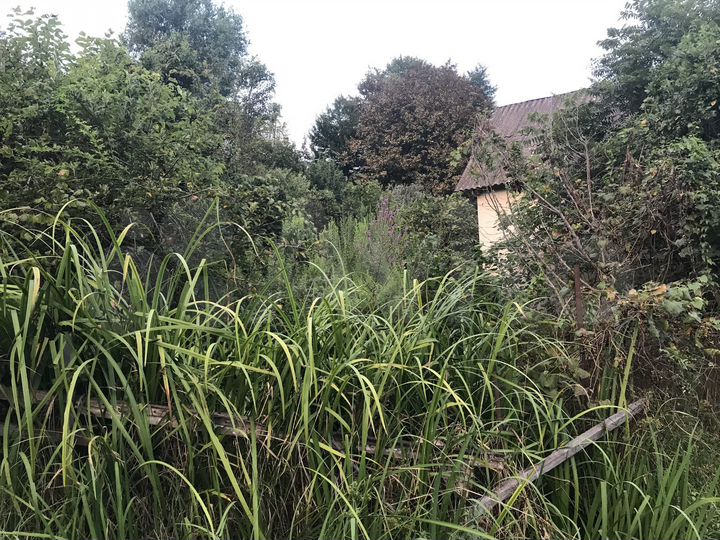 Участок 5,5 сот. (СНТ, ДНП)