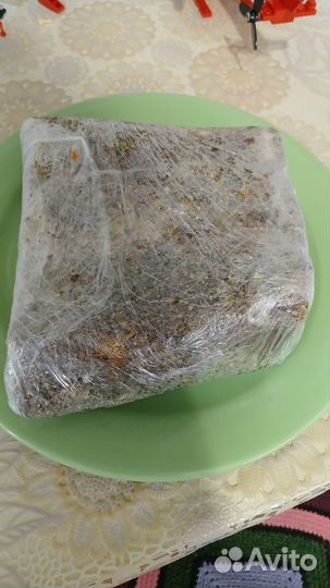 Сало соленое домашнее