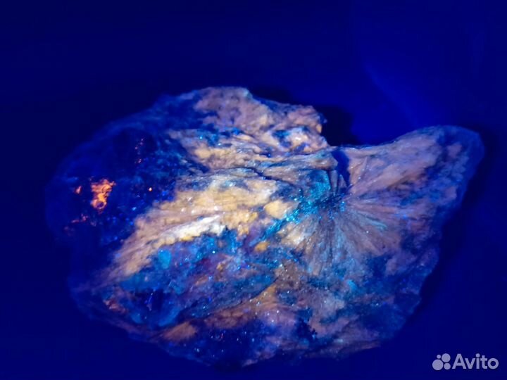 Солнышки Пектолита