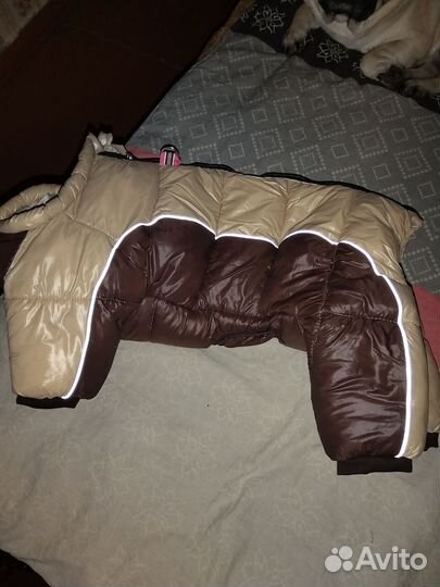 Одежда для средних собак зимняя