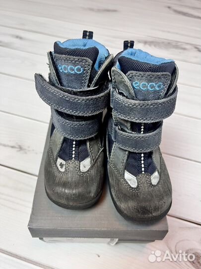 Сапожки ecco 22