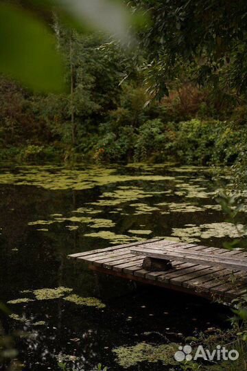 База отдыха