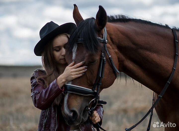 Конные прогулки в Саратове