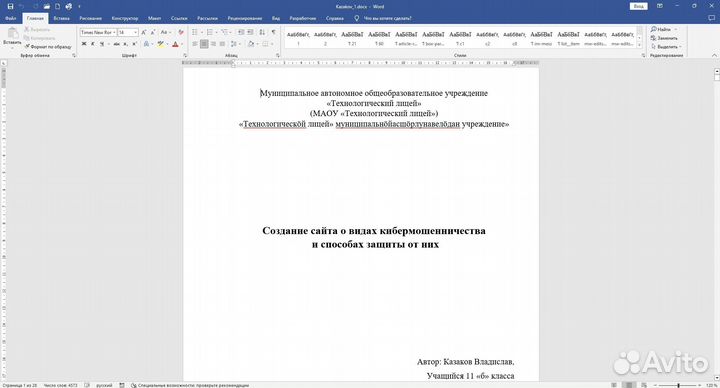 Проект кибермошенничество