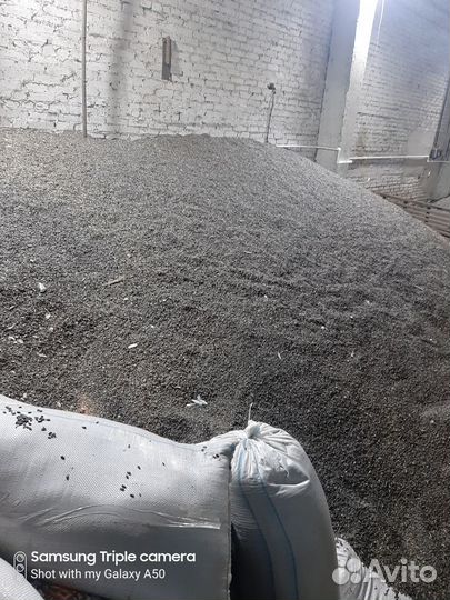 Зерно пшеница ячмень семечка кукуруза