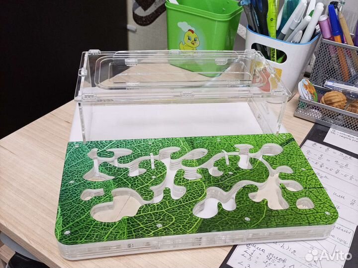 Формикарий без муравьев