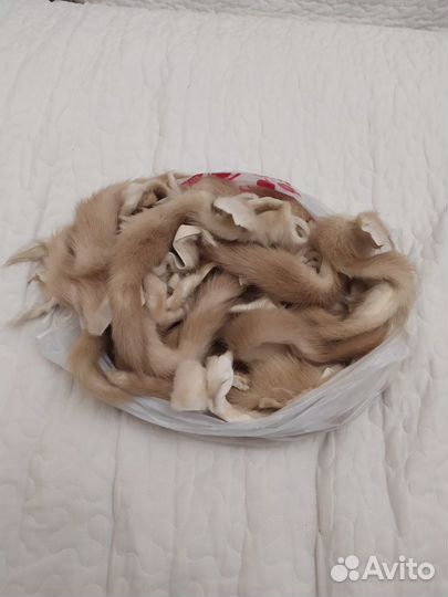 Кусочки меха норки