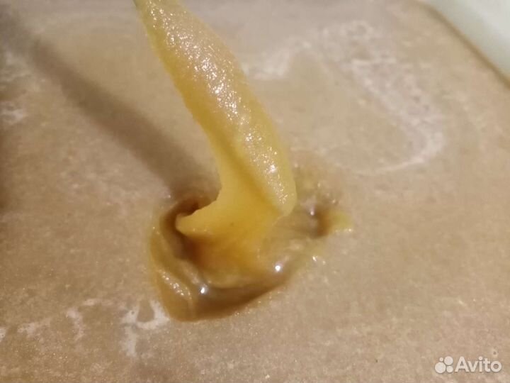 Мёд гречиха-разнотравье опт