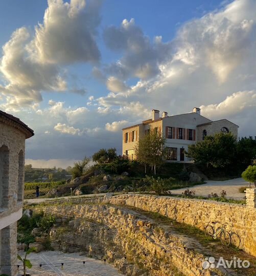 Банкетные и корпоративные мероприятия в Шато Андре