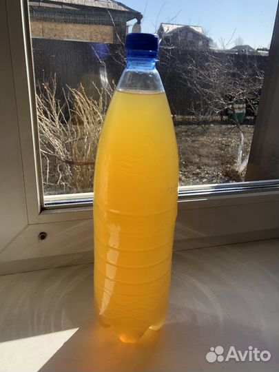 Яблочный уксус домашний