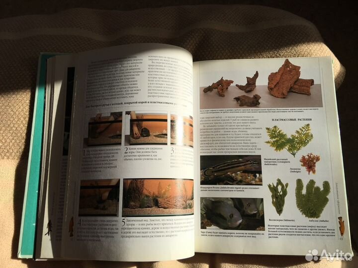 Бейли М., Сэндфорд Дж., Энциклопедия. Рыбки