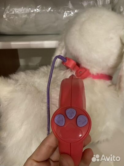 Собака на пульте управление