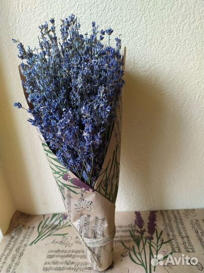 Супер букеты лаванды(сухоцвет 2023)