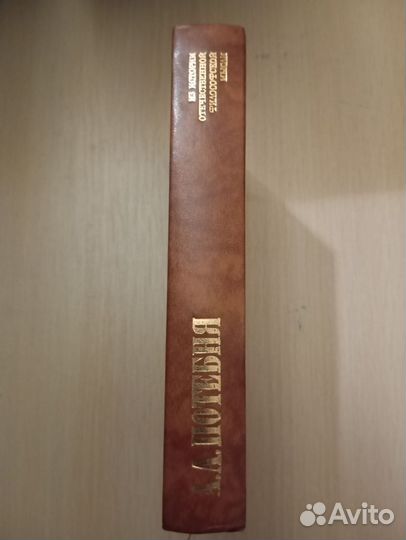 А. А. Потебня. Слово и миф