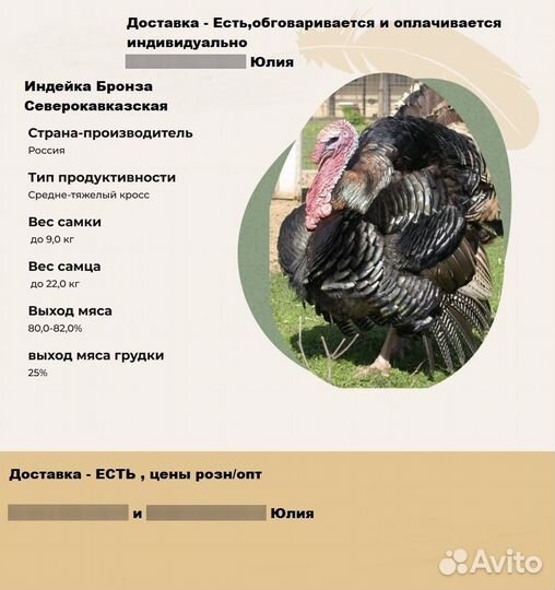 Инкубационное яйцо