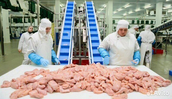 Требуются разнорабочие(вахта)