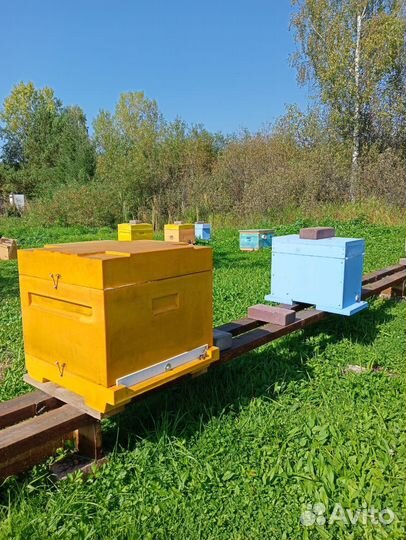 Продам ульи для пчел ппу