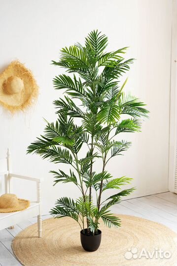 Искусственное дерево Пальма Ховея