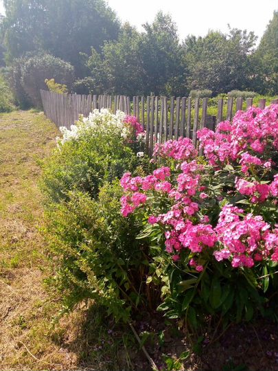 Дом 36,4 м² на участке 53 сот.