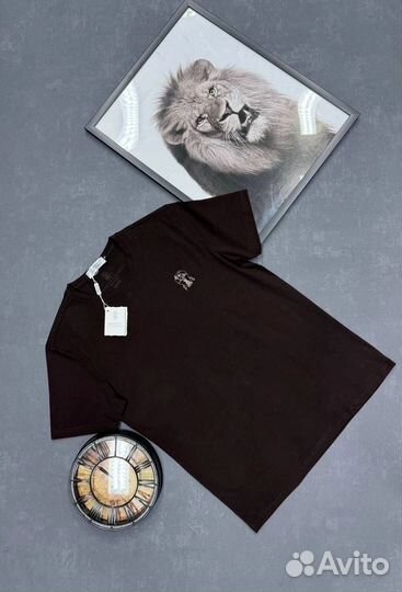 Футболка мужская Brunello Cucinelli