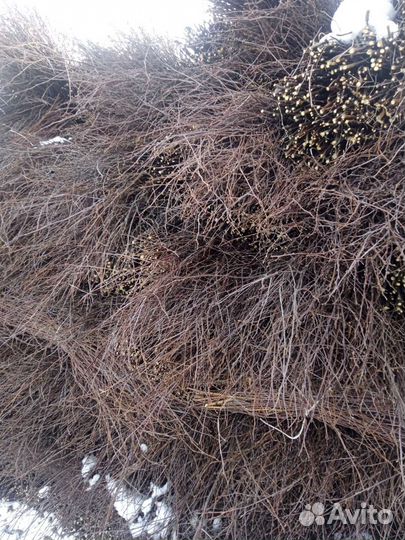 Веники для подмитание