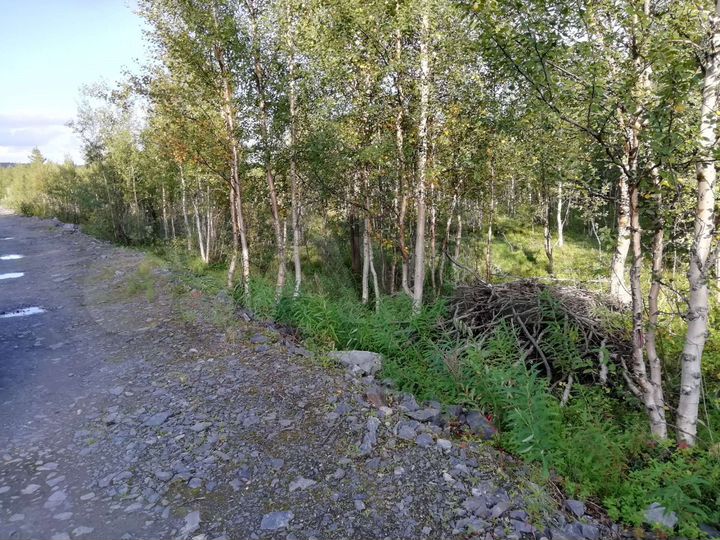Участок 14 сот. (СНТ, ДНП)