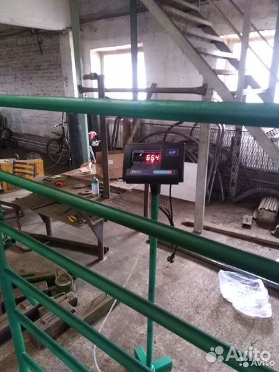 Весы для крс, Телят, Коров