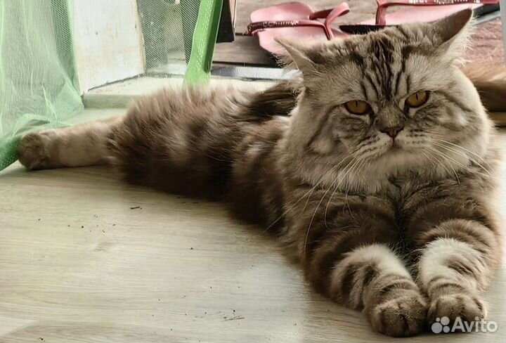 Вязка