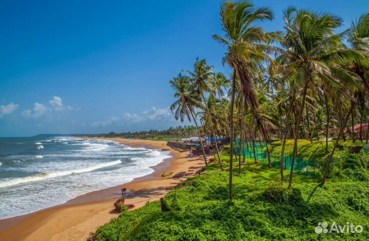 Тур гоа от 1-го чел